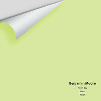 Big Paint Chip - Neon 402