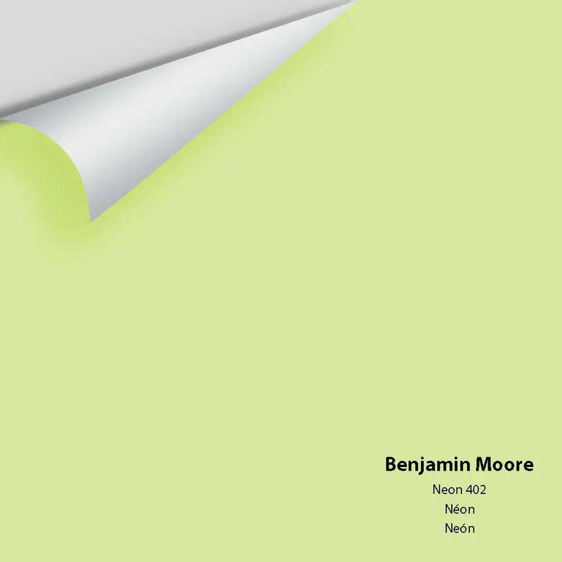 Big Paint Chip - Neon 402