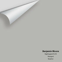 Benjamin Moore - Nightingale AF-670 Colour Sample