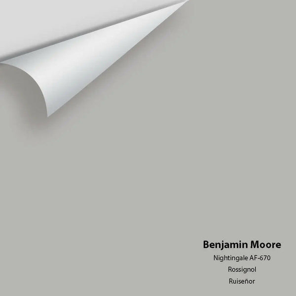 Benjamin Moore - Nightingale AF-670 Colour Sample