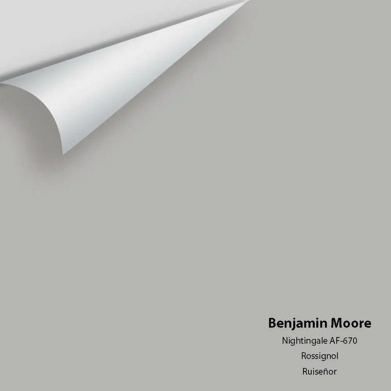 Benjamin Moore - Nightingale AF-670 Colour Sample