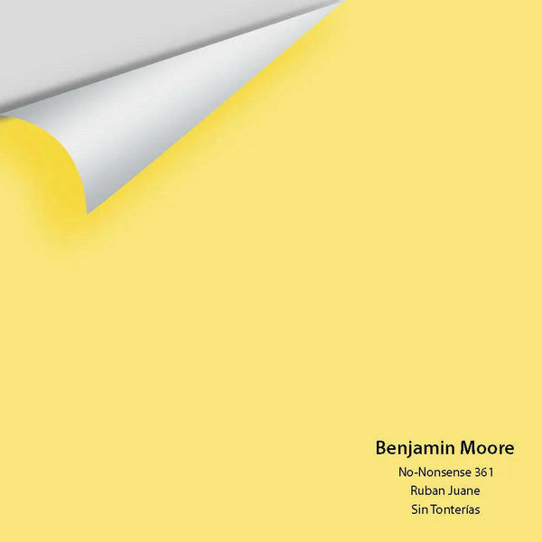 Big Paint Chip - No-Nonsense 361