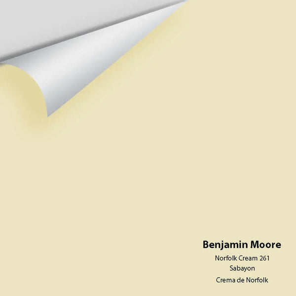 Big Paint Chip - Norfolk Cream 261