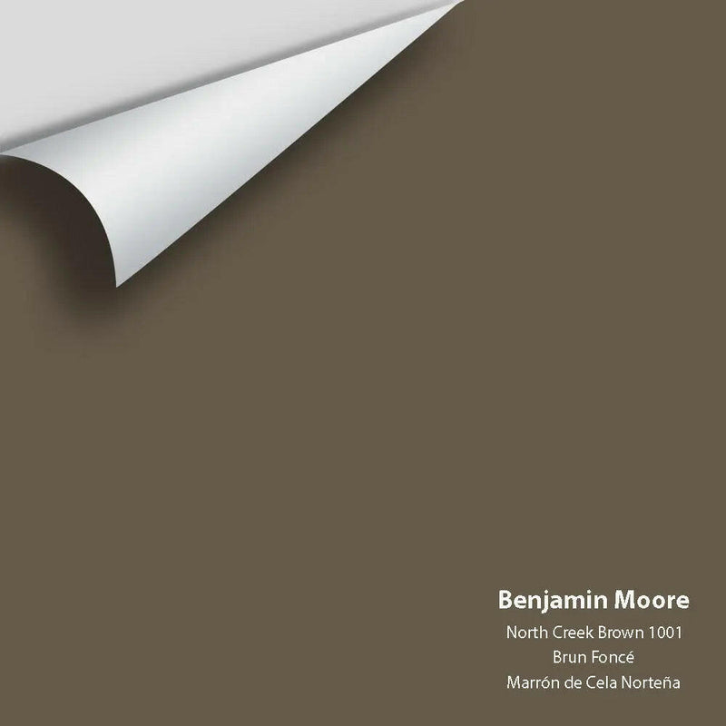 Big Paint Chip - North Creek Brown 1001
