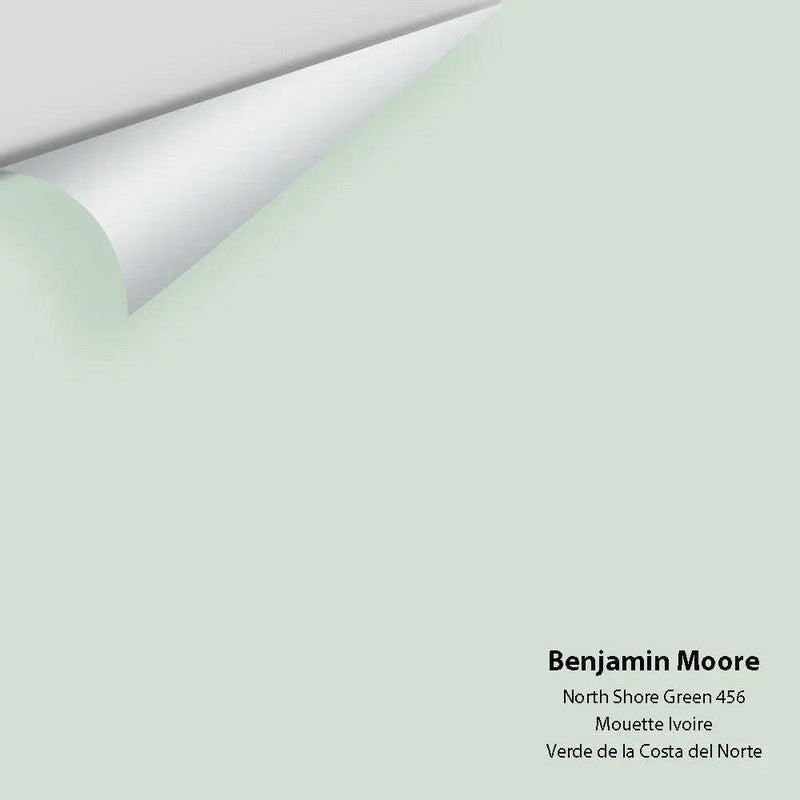 Big Paint Chip - North Shore Green 456