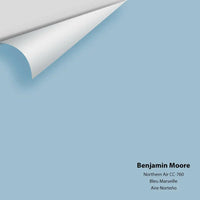 Big Paint Chip - Northern Air 1676 / CC-760