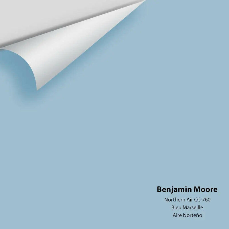 Big Paint Chip - Northern Air 1676 / CC-760