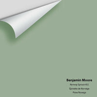 Big Paint Chip - Norway Spruce 452
