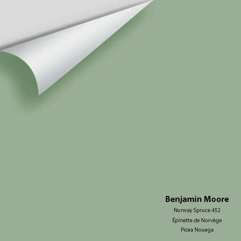 Big Paint Chip - Norway Spruce 452