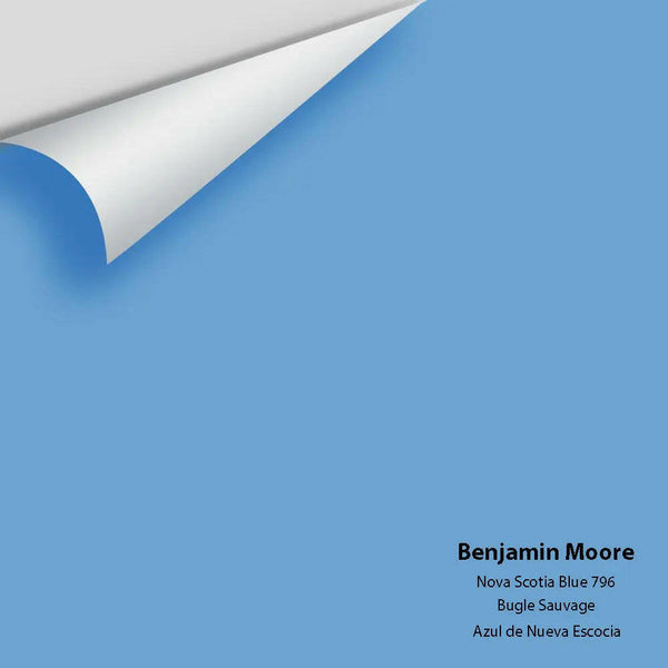 Big Paint Chip - Nova Scotia Blue 796