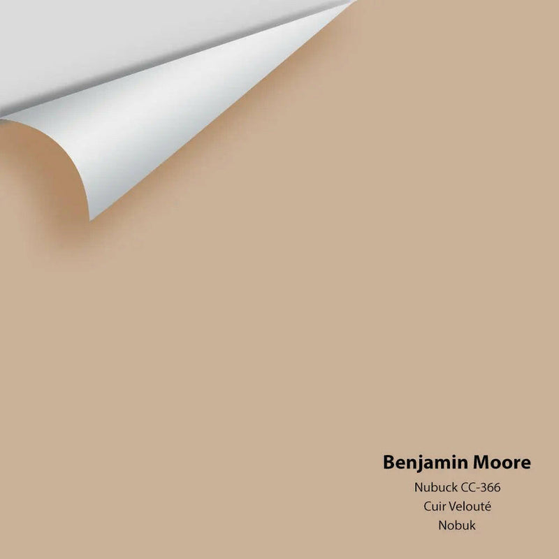 Big Paint Chip - Nubuck CC-366 Colour Sample