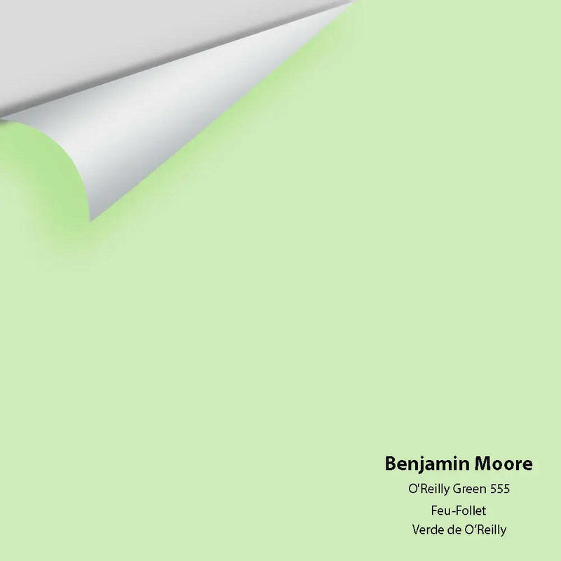 Big Paint Chip - O'Reilly Green 555