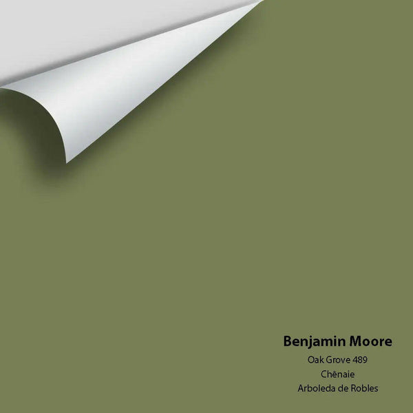 Big Paint Chip - Oak Grove 489