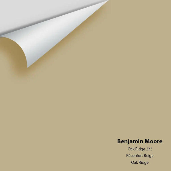 Big Paint Chip - Oak Ridge 235