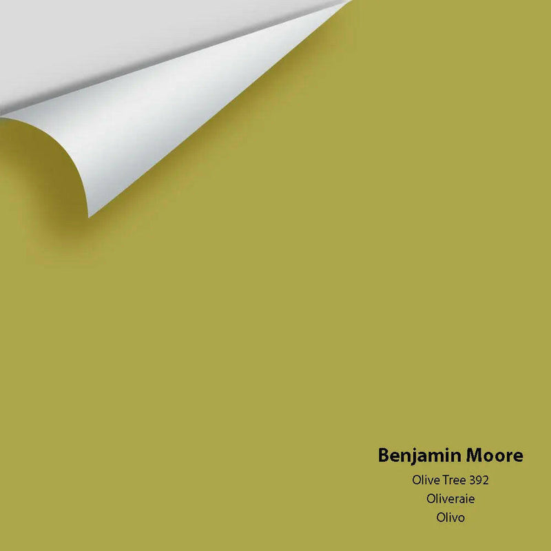 Big Paint Chip - Olive Tree 392