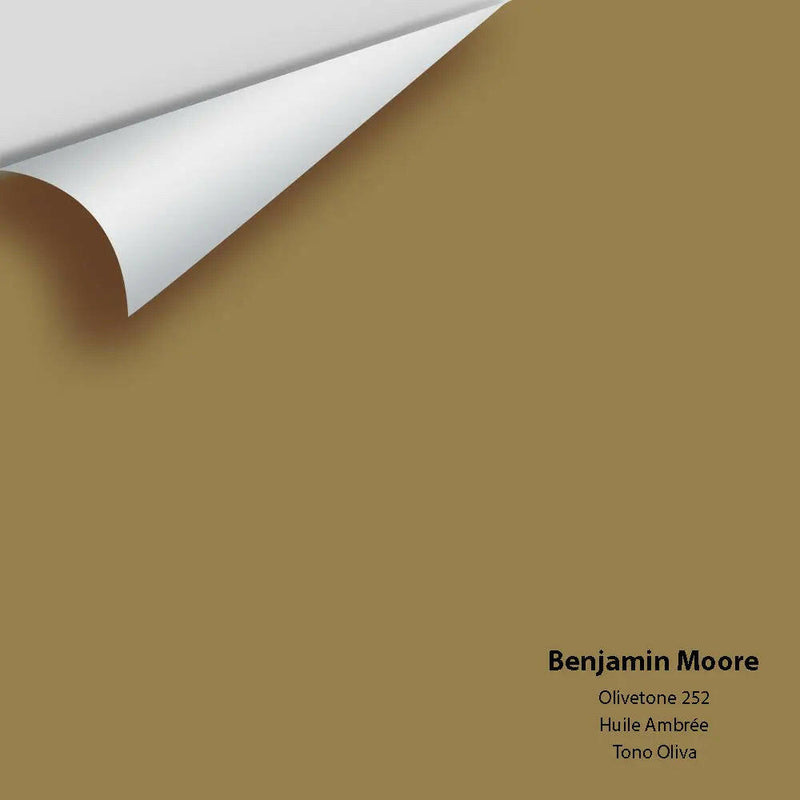 Big Paint Chip - Olivetone 252