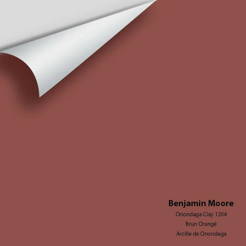 Benjamin Moore - Onondaga Clay 1204 Colour Sample