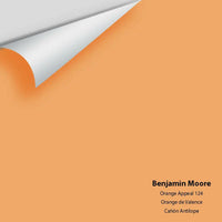 Big Paint Chip - Orange Appeal 124