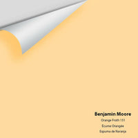 Big Paint Chip - Orange Froth 151
