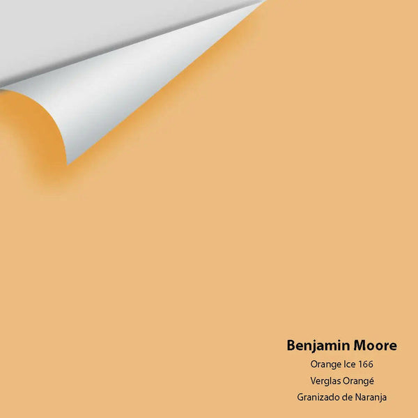 Big Paint Chip - Orange Ice 166