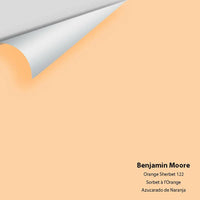 Big Paint Chip - Orange Sherbet 122