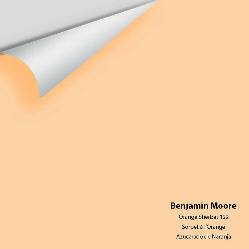Big Paint Chip - Orange Sherbet 122