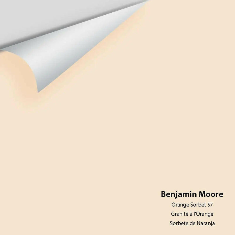 Benjamin Moore - Orange Sorbet 57 Colour Sample