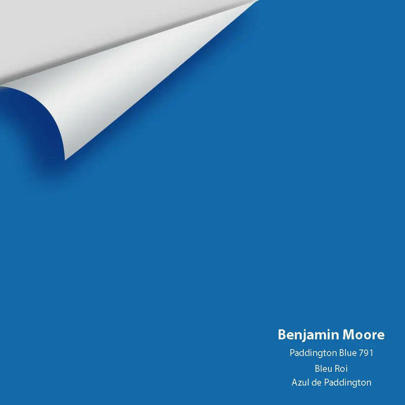 Big Paint Chip - Paddington Blue 791