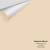 Big Paint Chip - Painted Sands 1142