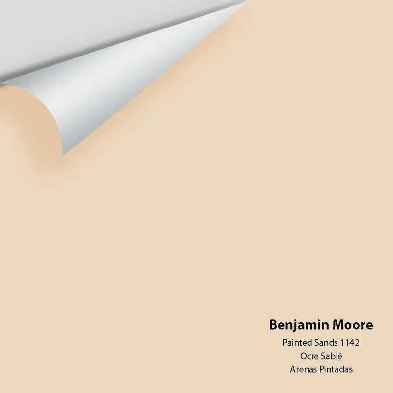 Big Paint Chip - Painted Sands 1142