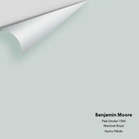 Benjamin Moore - Pale Smoke 1584 Colour Sample