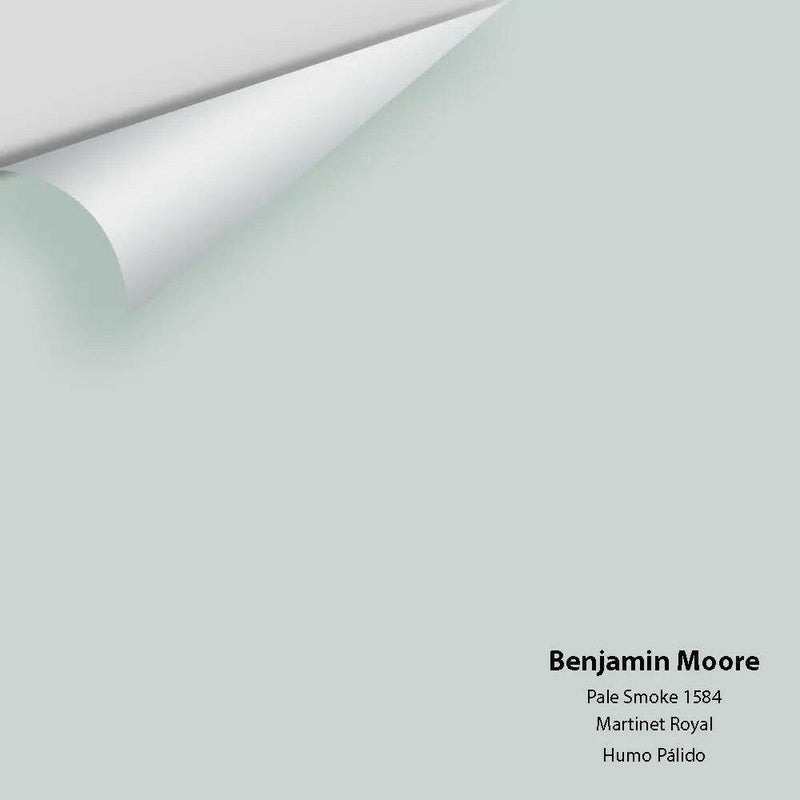Benjamin Moore - Pale Smoke 1584 Colour Sample