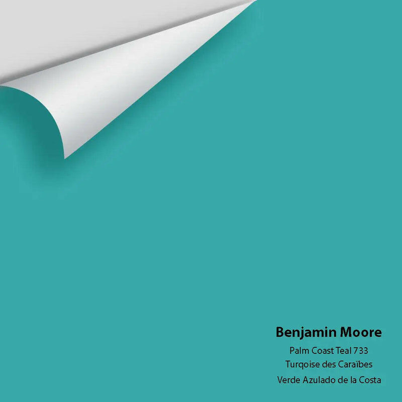 Big Paint Chip - Palm Coast Teal 733