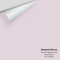 Big Paint Chip - Peace and Happiness 1380 - Colour Squared Inc.