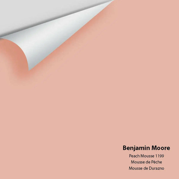 Big Paint Chip - Peach Mousse 1199