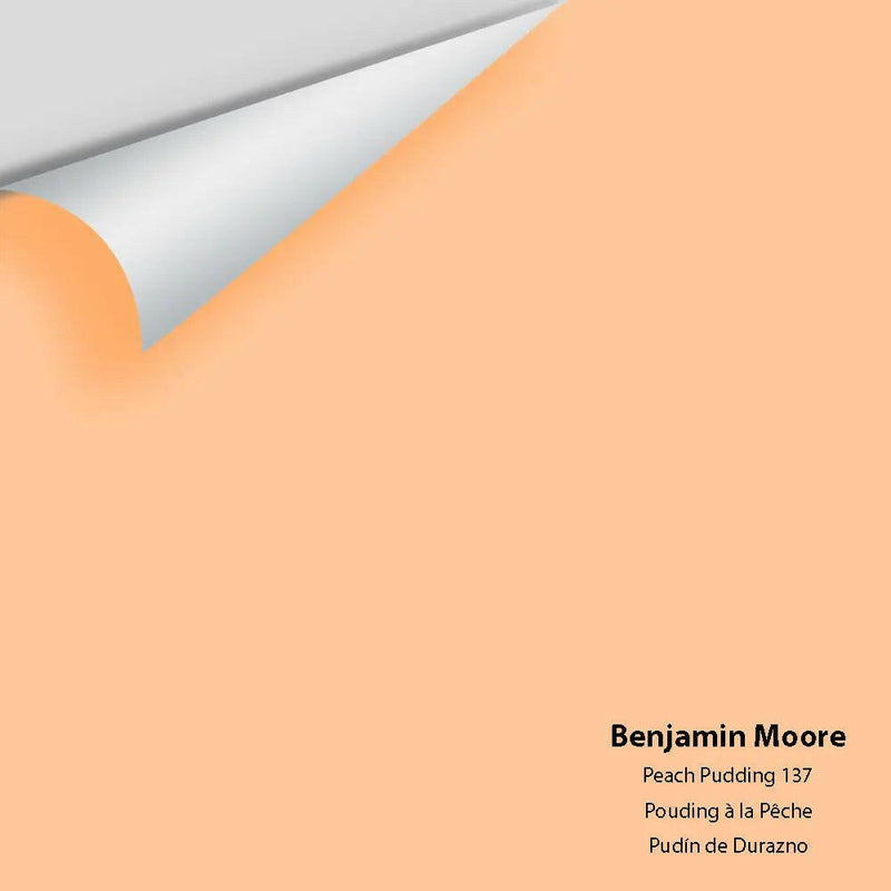 Big Paint Chip - Peach Pudding 137