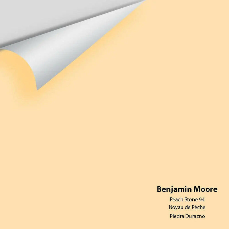 Big Paint Chip - Peach Stone 94