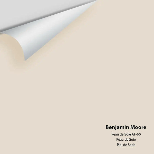 Benjamin Moore - Peau de Soie AF-60 Colour Sample