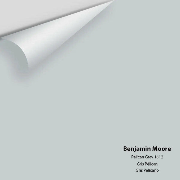 Benjamin Moore - Pelican Gray 1612 Colour Sample
