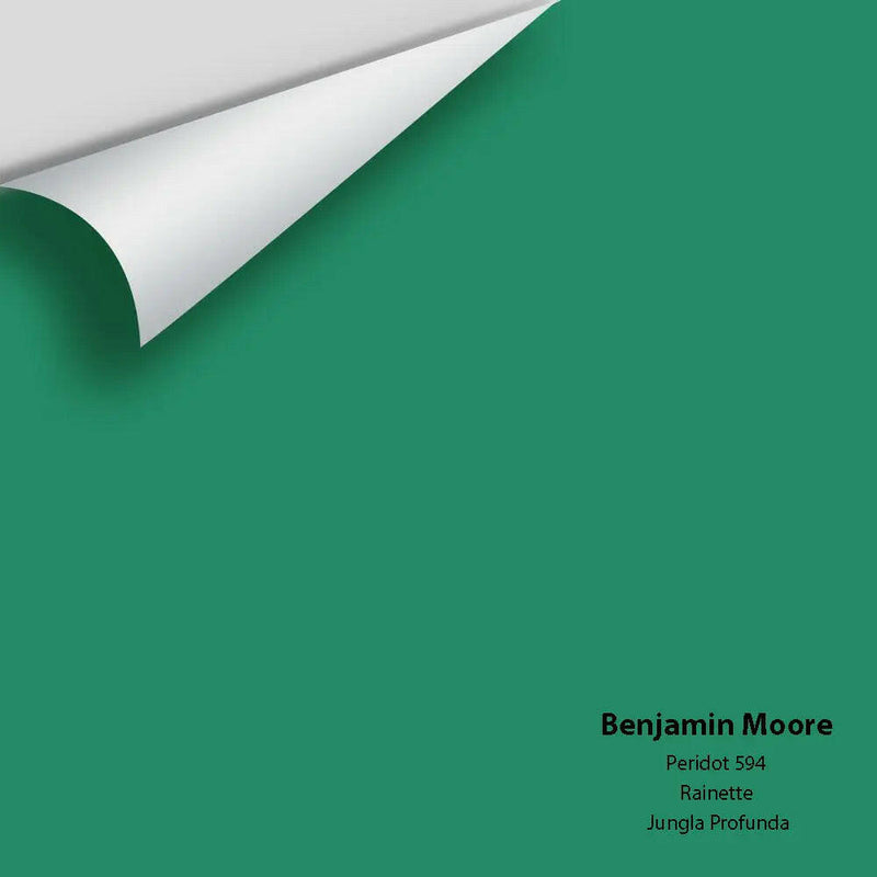 Big Paint Chip - Peridot 594