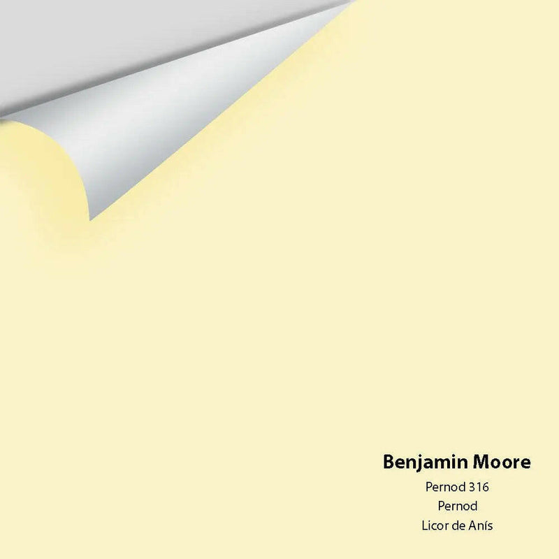 Big Paint Chip - Pernod 316