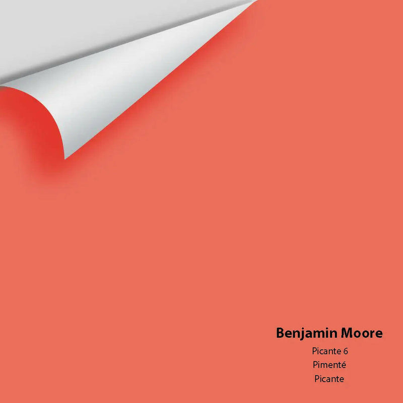 Big Paint Chip - Picante 6