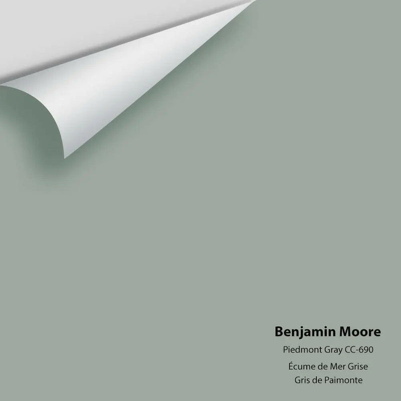 Big Paint Chip - Piedmont Gray CC-690
