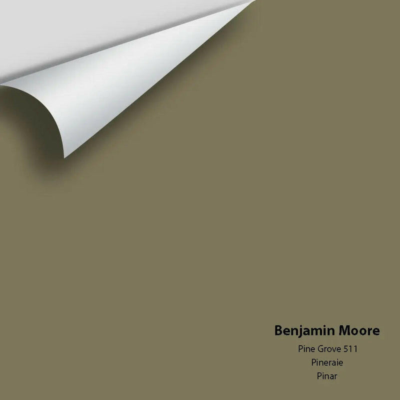 Big Paint Chip - Pine Grove 511