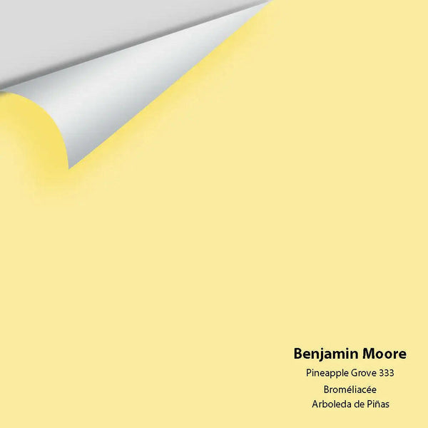 Big Paint Chip - Pineapple Grove 333