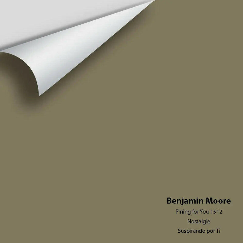 Big Paint Chip - Pining for You 1512