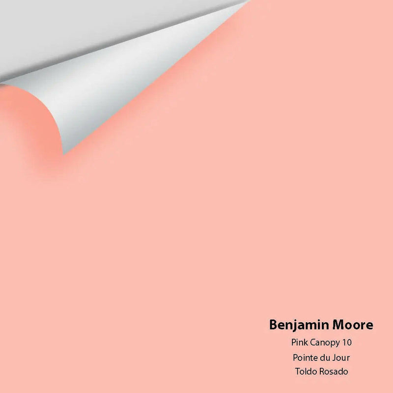Big Paint Chip - Pink Canopy 10