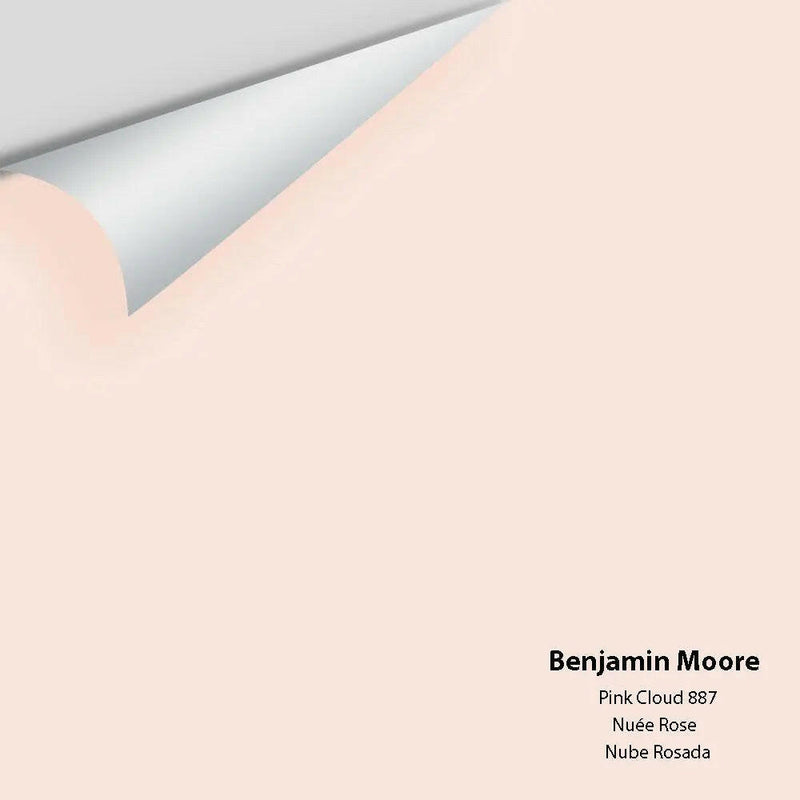 Big Paint Chip - Pink Cloud 887