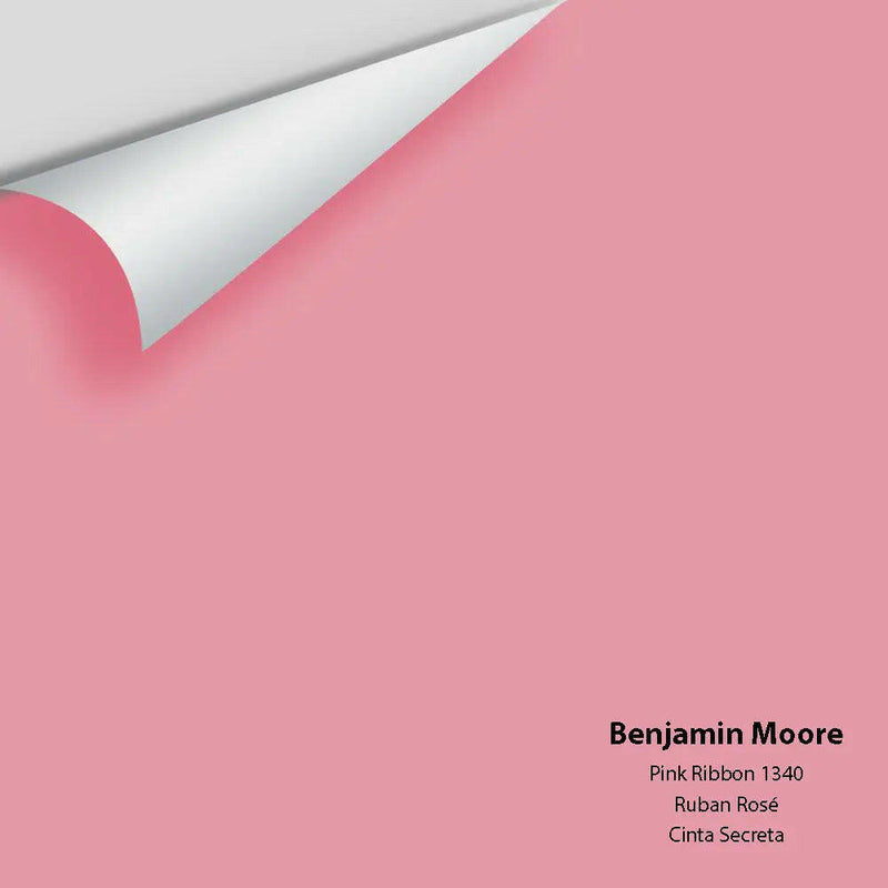 Big Paint Chip - Pink Ribbon 1340
