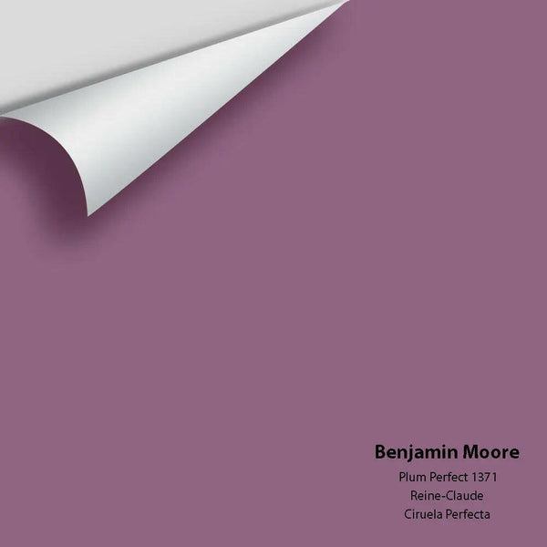 Big Paint Chip - Plum Perfect 1371 - Colour Squared Inc.